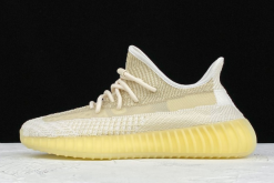2020 Adidas Yeezy Boost 350 V2 "Abez" FZ5246 For Sale