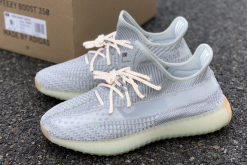 2020 Adidas Yeezy Boost 350 V2 "Tailgate" FX4348 For Sale